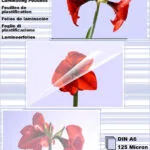 Olympia Din A6 125 Micron Ζελατίνες Πλαστικοποίησης 125 microns 100τμχ