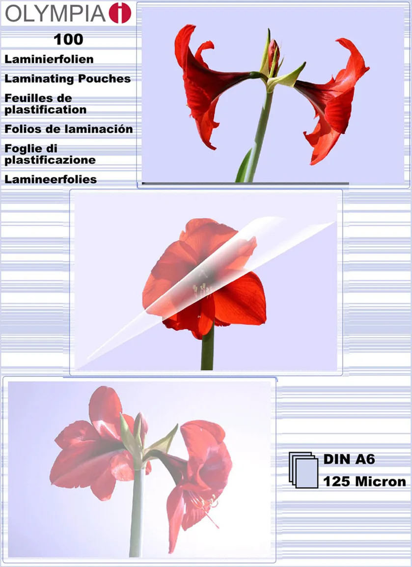 Olympia Din A6 125 Micron Ζελατίνες Πλαστικοποίησης 125 microns 100τμχ Olympia Din A6 125 Micron Ζελατίνες Πλαστικοποίησης 125 microns 100τμχ - Image 1