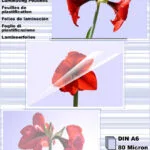 Olympia Din A6 80 Micron Ζελατίνες Πλαστικοποίησης A6 80 microns 100τμχ