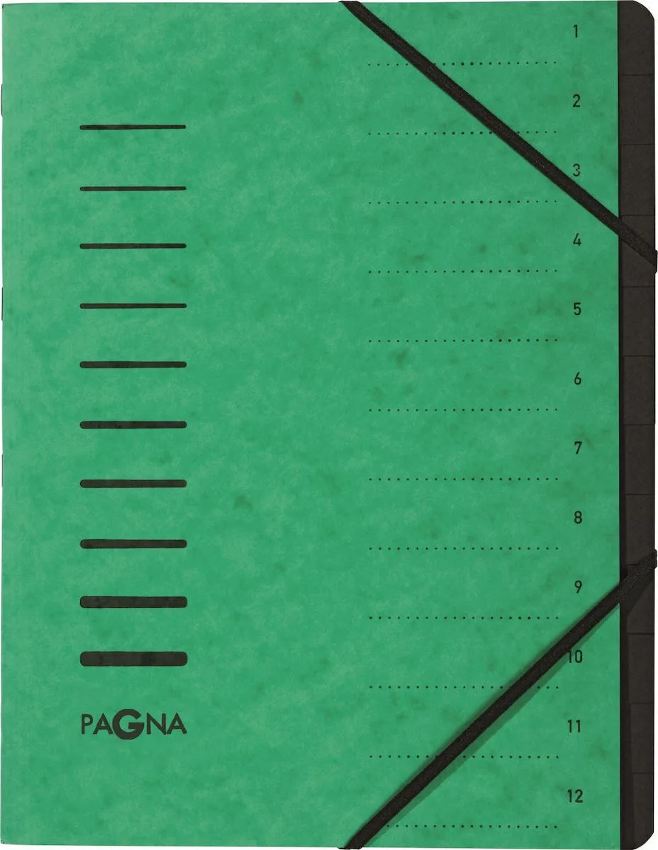 Pagna Folder 12 Fächer 1-12 Grün Pagna Folder 12 Fächer 1-12 Grün - Image 1