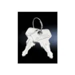 Rittal Κλειδιά Πίνακα Ελέγχου 2 Τεμ Schließung 12321 Sz 7526050