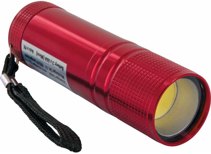 Schwaiger Φακός LED IPX4 με Μέγιστη Φωτεινότητα 90lm TLED200R531 Schwaiger Φακός LED IPX4 με Μέγιστη Φωτεινότητα 90lm TLED200R531 - Image 1