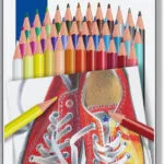 Staedtler 175 Colour Ξυλομπογιές Σετ 36 χρώματα STAE175M36